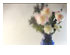 174134_1 thumbnail image