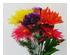 174134_3 thumbnail image