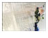 174146_1 thumbnail image