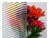 174146_2 thumbnail image