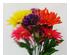 174158_3 thumbnail image
