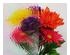 174998_4 thumbnail image