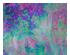 175086_1 thumbnail image