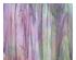 175086_2 thumbnail image