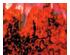 175126_1 thumbnail image