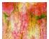 175218_1 thumbnail image