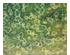 175226_1 thumbnail image