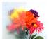 175378_1 thumbnail image