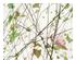 176076_1 thumbnail image