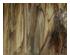 179826_1 thumbnail image