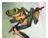 179909_2 thumbnail image