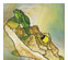 179909_5 thumbnail image