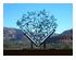 182829_2 thumbnail image