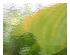 183311_4 thumbnail image
