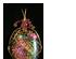 185154_6 thumbnail image