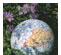187247_1 thumbnail image
