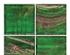 187311_2 thumbnail image