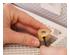 187919_4 thumbnail image