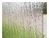 188155_2 thumbnail image