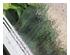188155_3 thumbnail image
