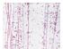 188155_6 thumbnail image