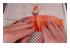 188422_1 thumbnail image