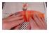 188459_3 thumbnail image