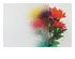 188708_8 thumbnail image