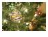 190333_8 thumbnail image