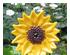 190394_5 thumbnail image
