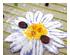 190403_2 thumbnail image
