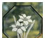 191325_1 thumbnail image