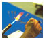 191544_2 thumbnail image