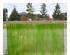 191746_5 thumbnail image