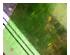 191746_6 thumbnail image