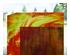 191774_6 thumbnail image