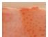 192042_4 thumbnail image