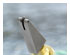 192147_2 thumbnail image