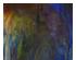 192246_5 thumbnail image