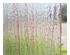 192854_2 thumbnail image