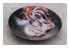 193244_2 thumbnail image