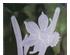 193342_3 thumbnail image