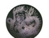 193342_5 thumbnail image