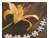 193388_5 thumbnail image