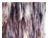 194033_1 thumbnail image