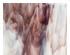 194033_2 thumbnail image