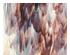 194033_3 thumbnail image