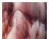 194033_4 thumbnail image