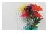 194323_1 thumbnail image