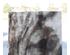 195962_1 thumbnail image